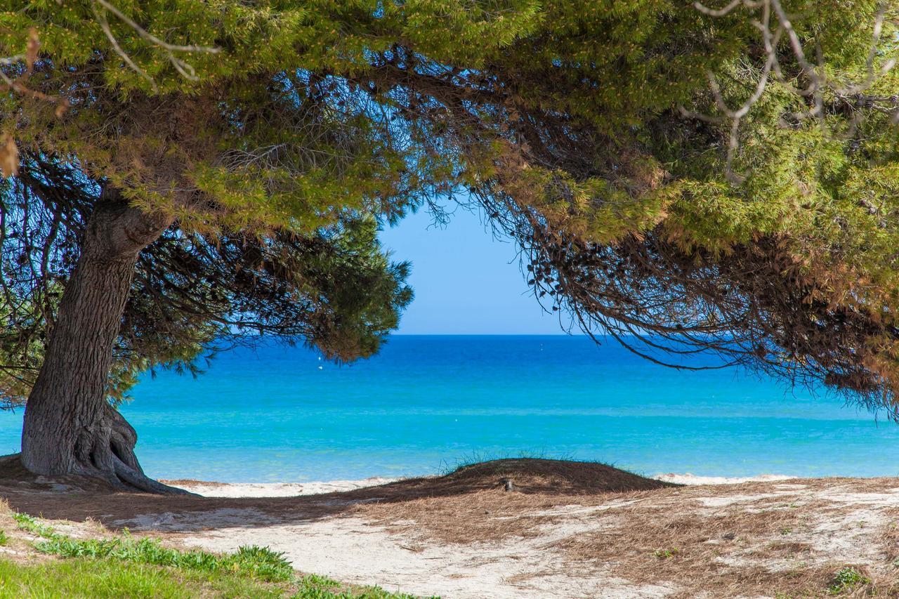 Formentera 2 Βίλα Can Picafort  Εξωτερικό φωτογραφία